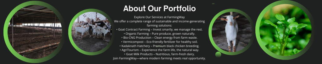farmingway portfolio (1)